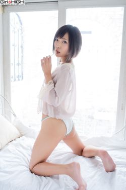 红楼淫传
